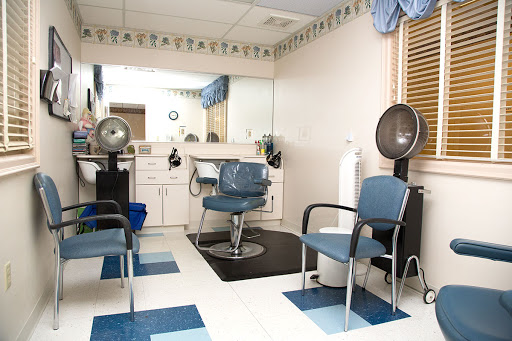 A well-organized hair salon featuring blue chairs, styling stations, and mirrors.