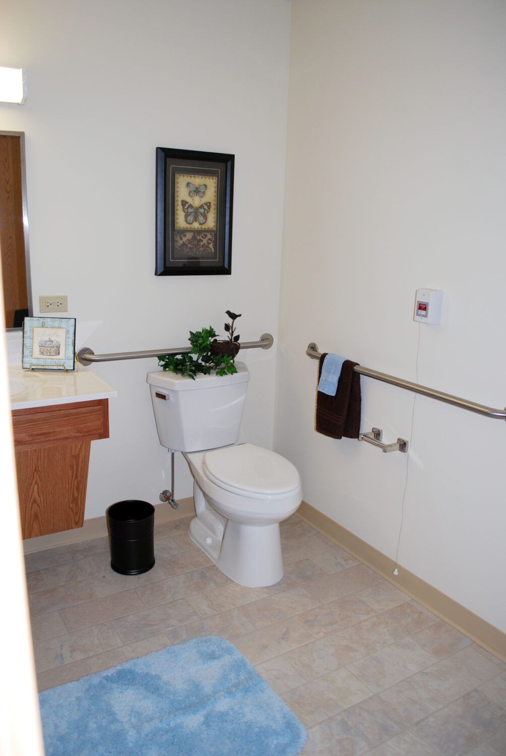 A clean and accessible bathroom featuring grab bars, a toilet with a plant on top, and a neatly arranged sink area.