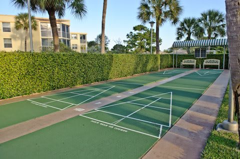 An outdoor shuffleboard court surrounded by hedges and palm trees.