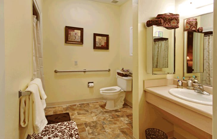 An accessible bathroom with a toilet, sink, mirror, and grab bars.