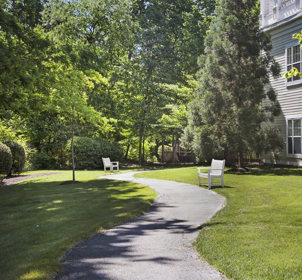 A winding pathway through a lush garden with benches on a sunny day.