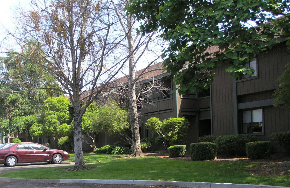 Suburban building surrounded by trees and greenery with a parked car.