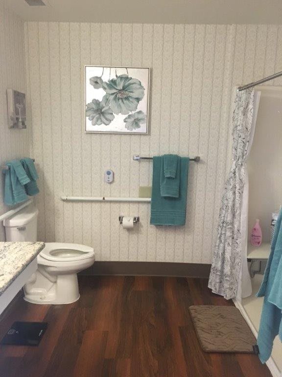 A modern bathroom with teal accents, featuring a toilet, shower, and decorative elements.