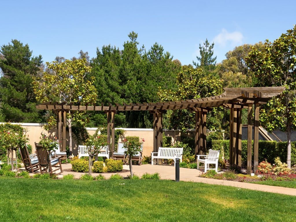 A serene garden area with a pergola and benches, surrounded by lush greenery on a sunny day.