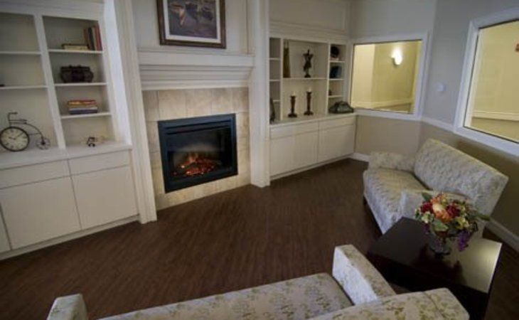 Cozy living room with a fireplace and built-in bookshelves.
