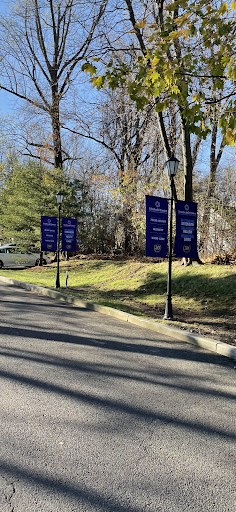 A sunny day showcasing blue signs along a road lined with trees.