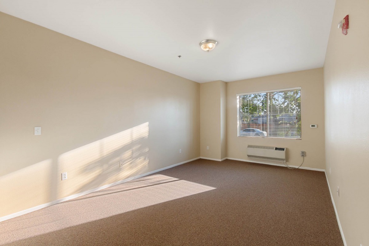 An empty room with beige walls, carpet flooring, and a window letting in natural light.