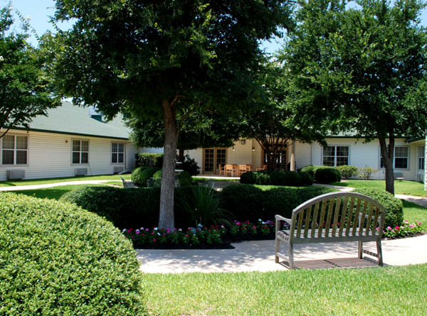 A serene garden with a bench, surrounded by lush trees and bushes, with a building in the background.