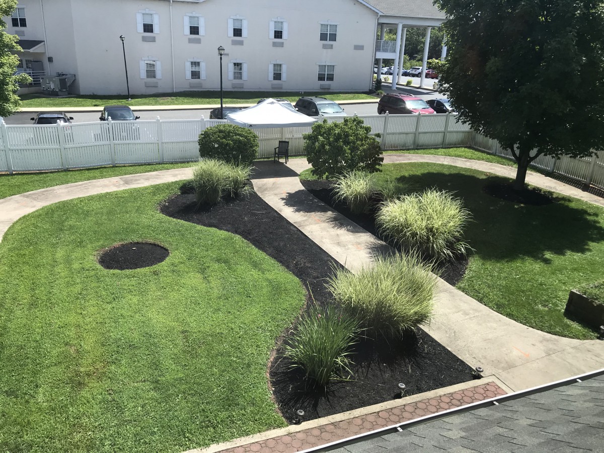 A beautifully landscaped garden with a winding pathway and various bushes and grasses.