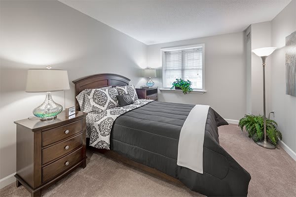 A cozy bedroom with a neatly made bed, nightstand, and potted plant by the window.