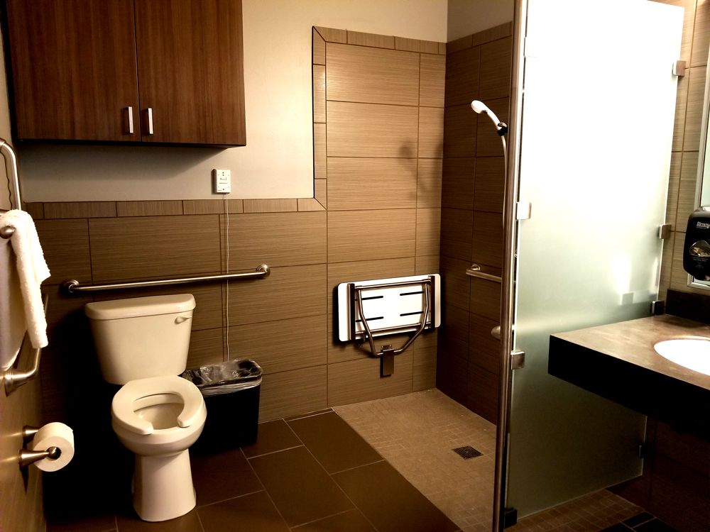 An accessible bathroom with a toilet, walk-in shower, and safety features.