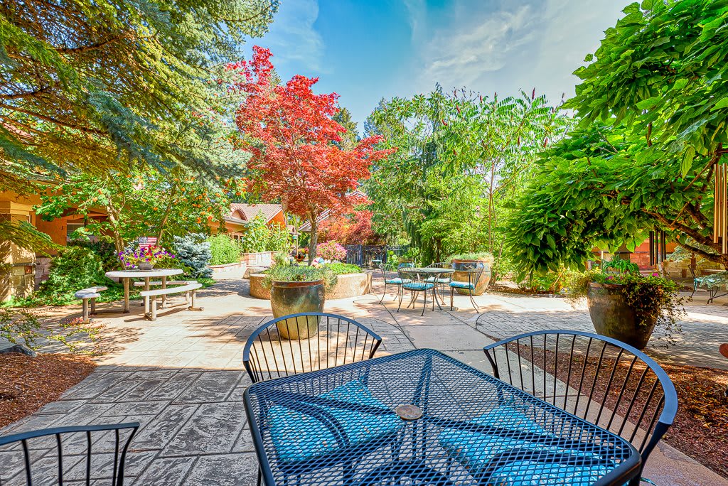 A serene garden patio with vibrant foliage and outdoor seating.