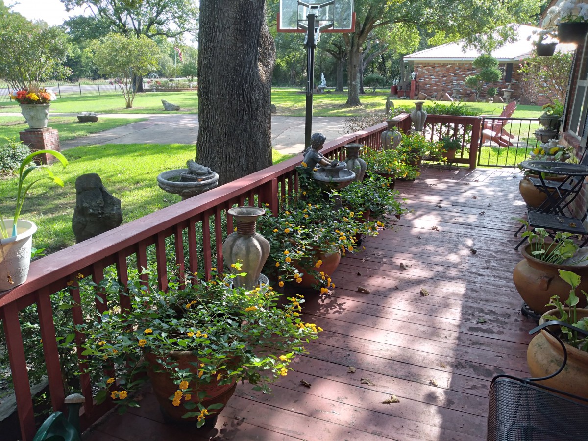 A sunny deck with potted plants and a view of a basketball hoop in the background.