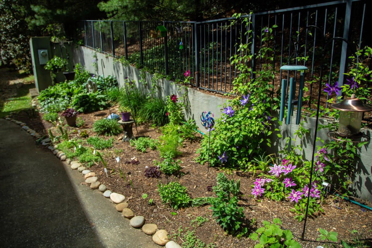 A well-maintained garden with various flowers and plants alongside a black metal fence.
