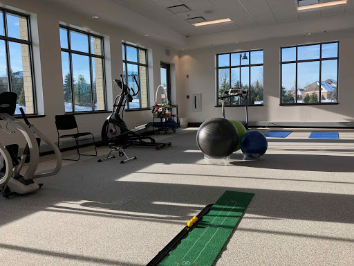 A well-lit gym space featuring various workout equipment and exercise balls.