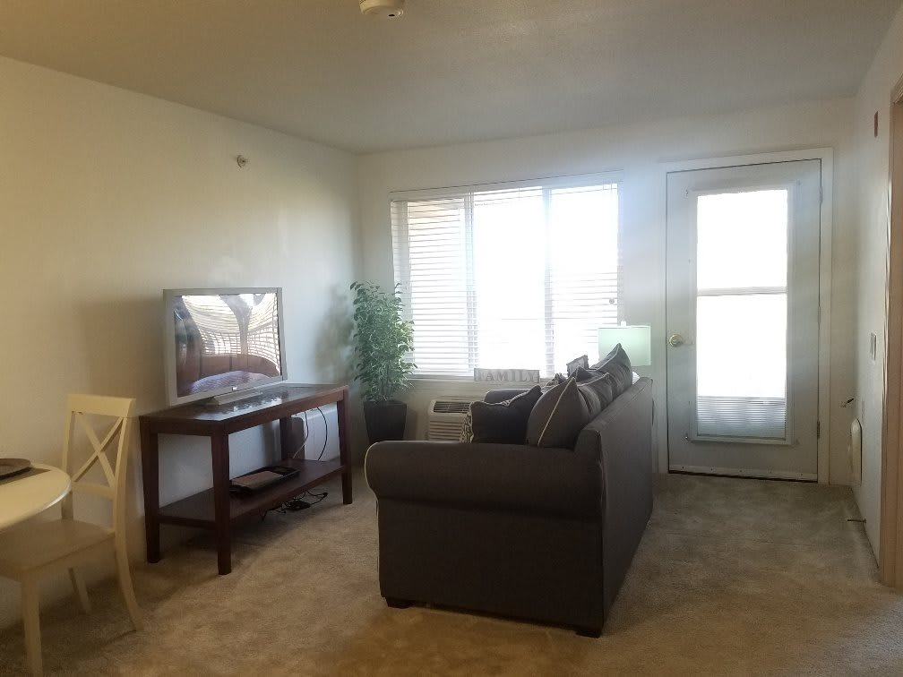 A minimalist living room featuring a sofa, television on a stand, and natural light from large windows.