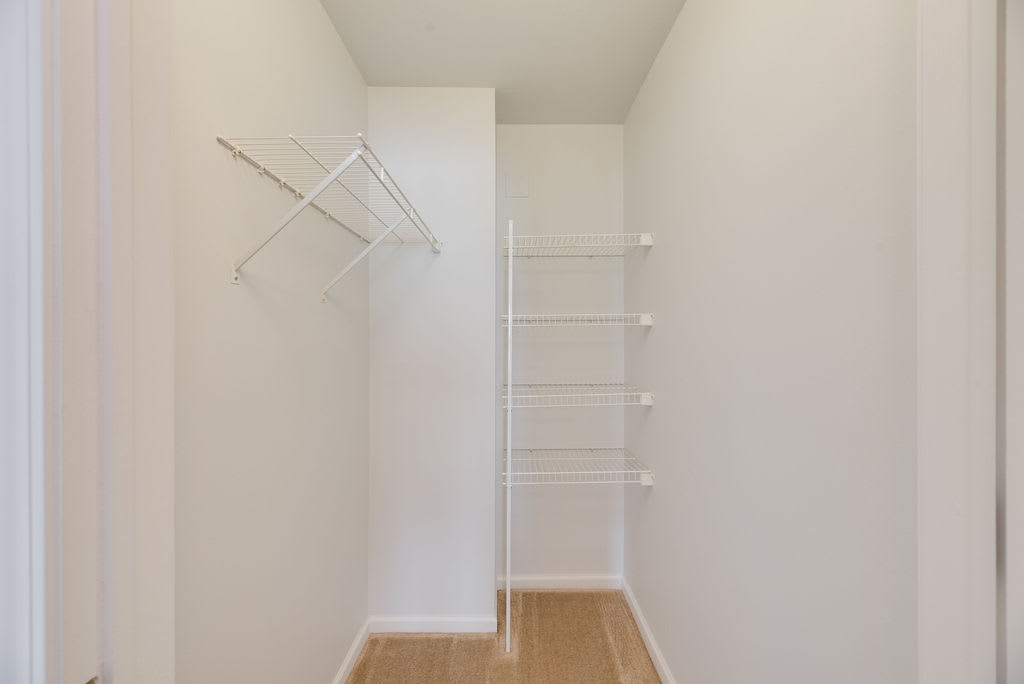An empty walk-in closet with shelves and a hanging rod, showcasing a minimalistic design.