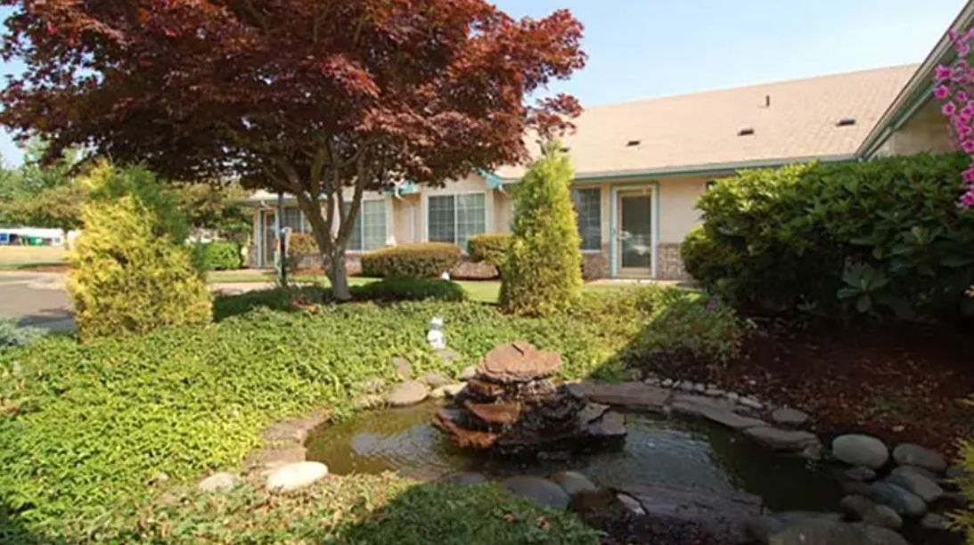 A serene garden with a small pond, surrounded by lush greenery and trees.