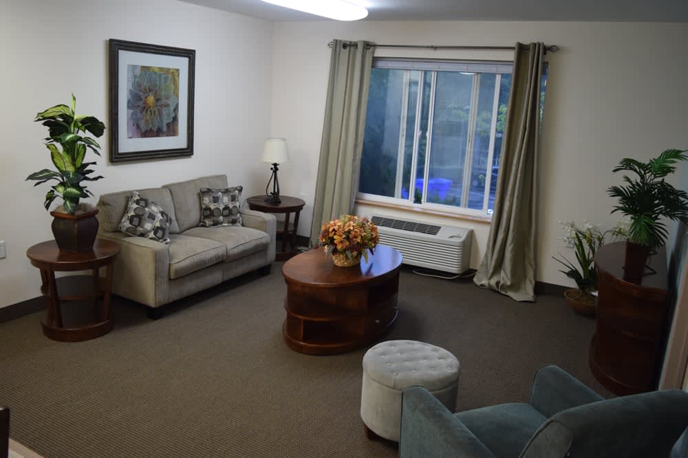 A cozy living room with a sofa, coffee table, and large window adorned with curtains.