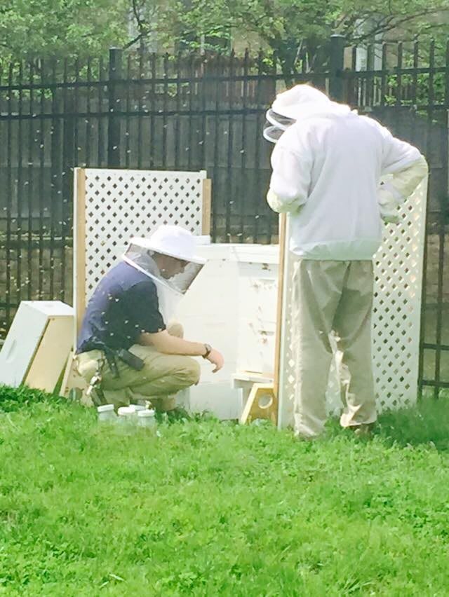 Two people in protective clothing tending to a beehive outdoors.