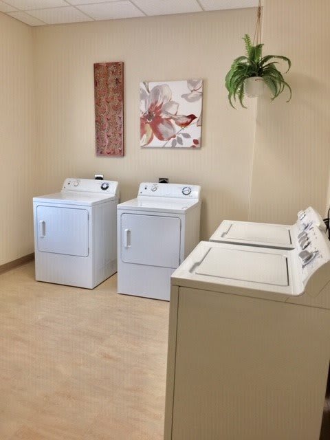 A laundry room with two washing machines and two dryers, decorated with artwork and a plant.