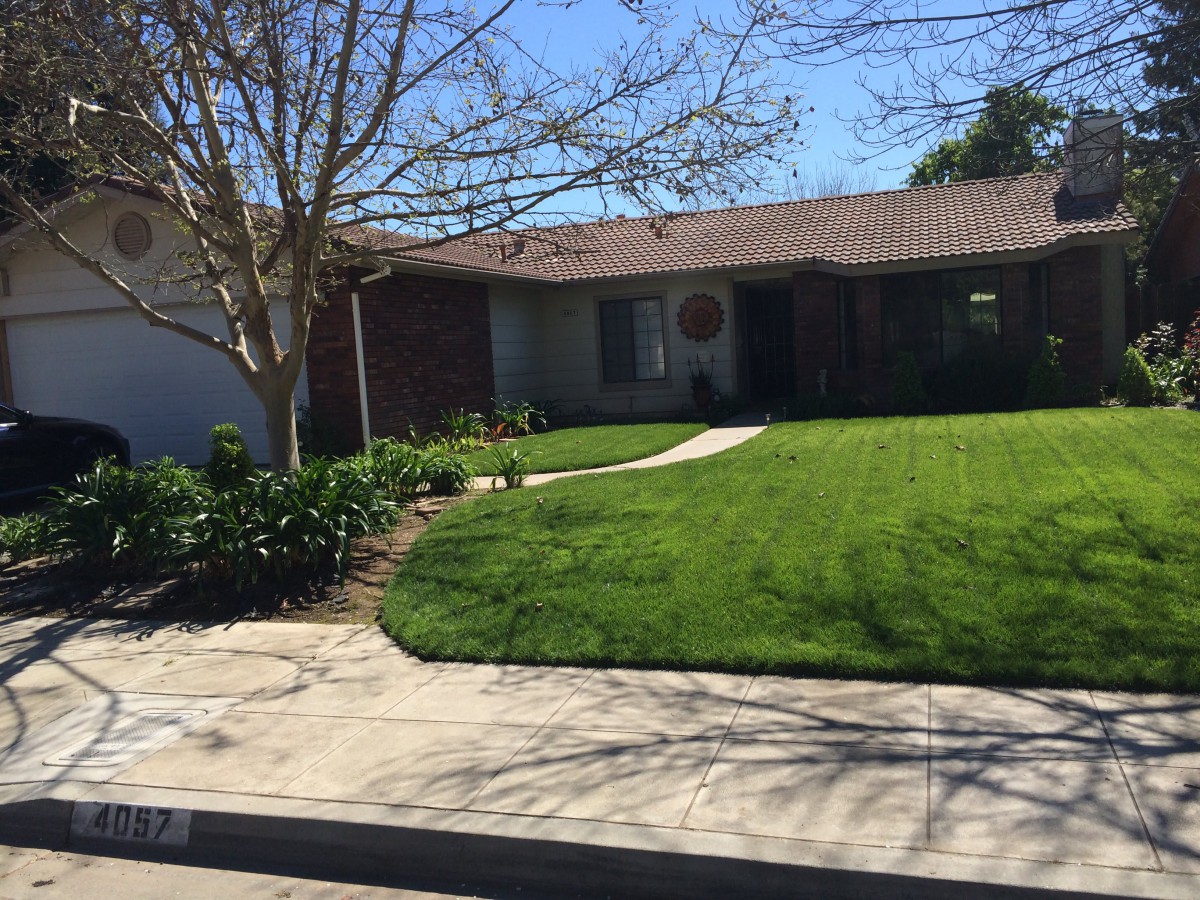 A suburban house with a well-maintained front lawn and a tree in the yard.