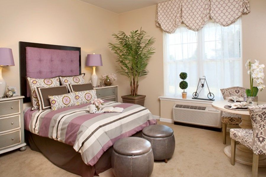 A modern bedroom featuring a purple-themed bed with striped bedding, accent pillows, a bedside lamp, decorative plants, and stylish window treatments.