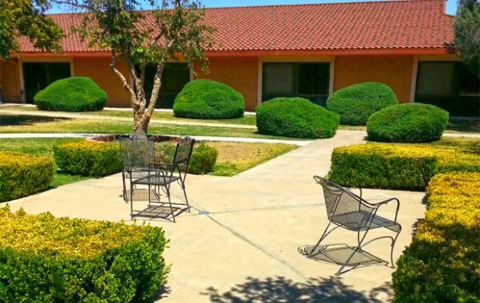 A peaceful courtyard with patio chairs and manicured shrubs on a sunny day.
