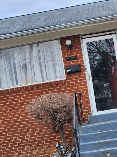 A view of a cozy brick house with curtains in the window and a small bush in front.