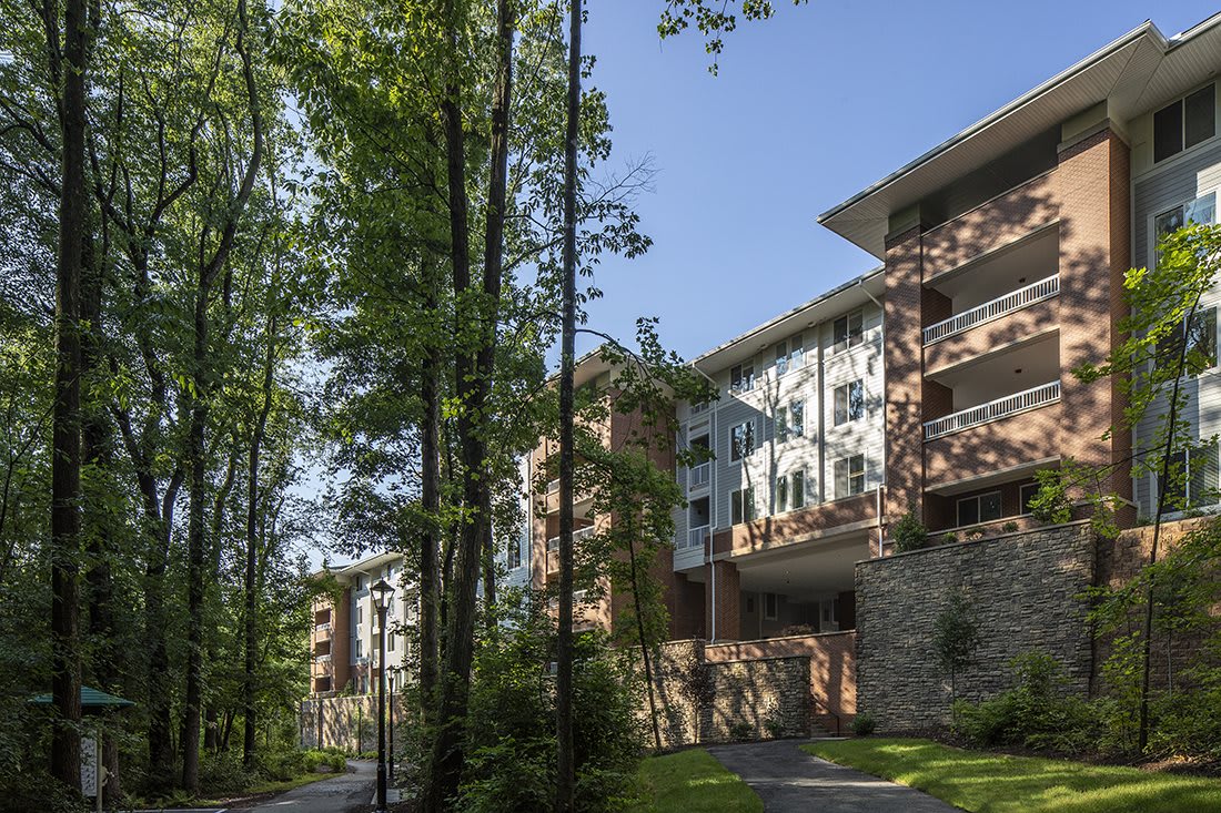 Modern apartment buildings surrounded by tall trees.