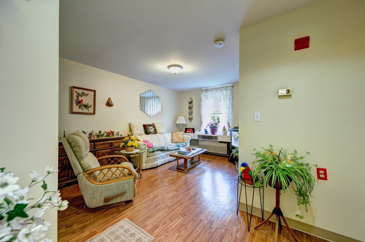 A cozy living room with comfortable seating, indoor plants, and stylish decor.