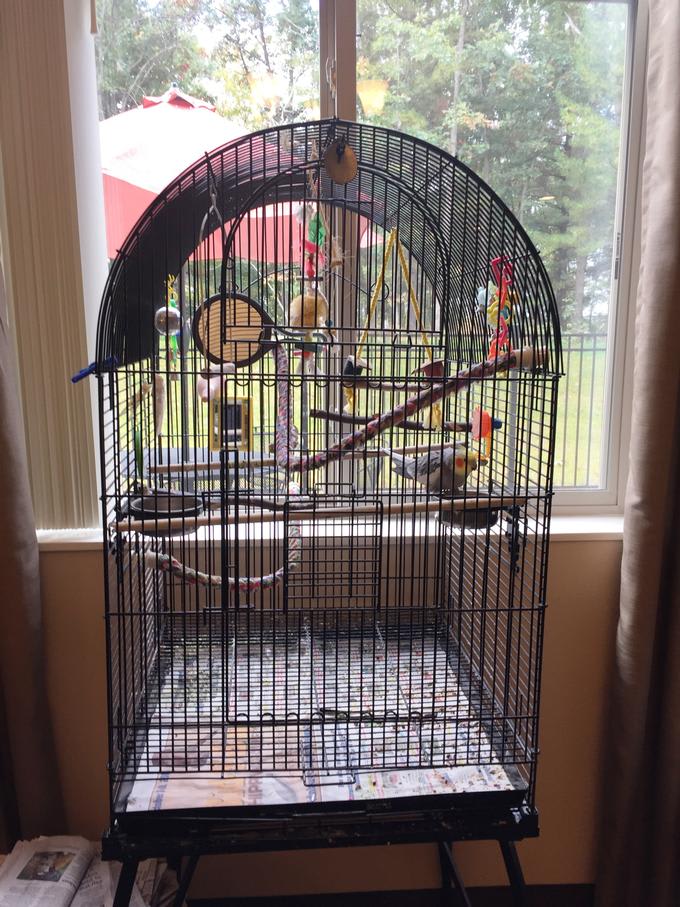 A bird cage with colorful birds inside, placed near a window.