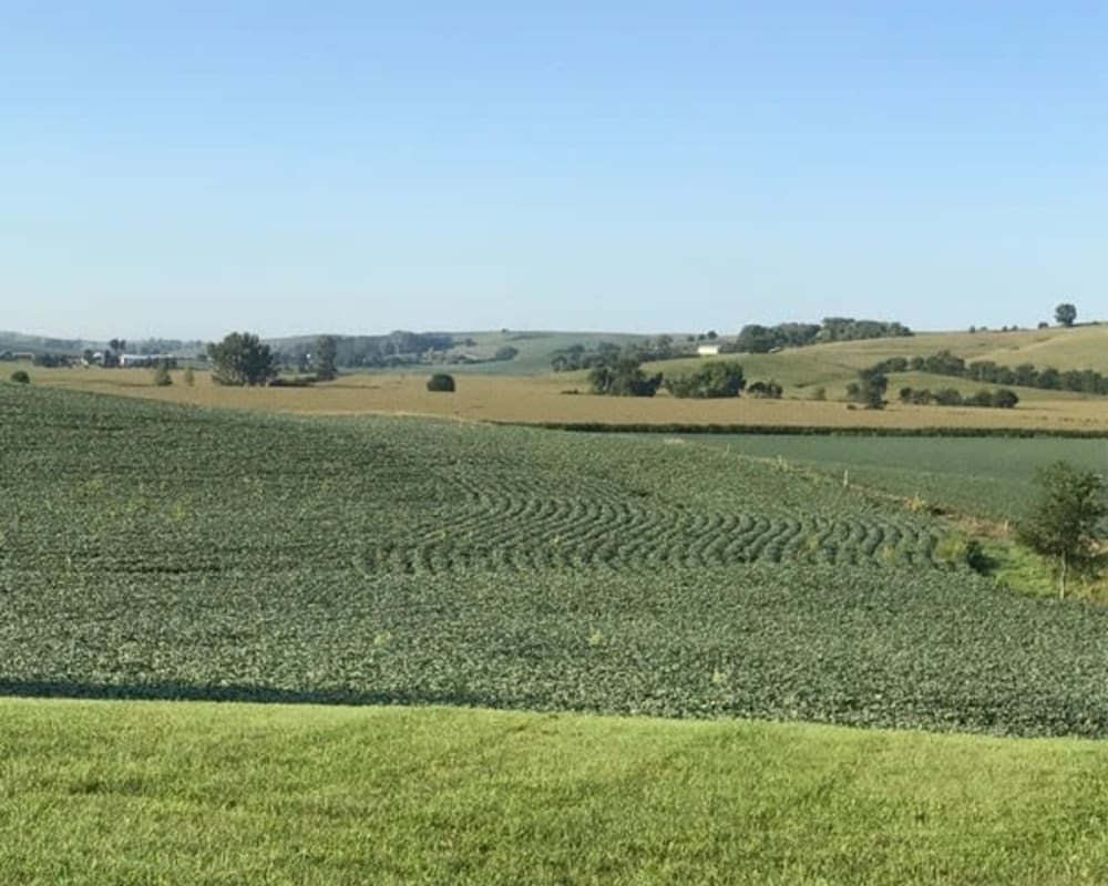A scenic view of expansive farmland and rolling hills under a clear blue sky.