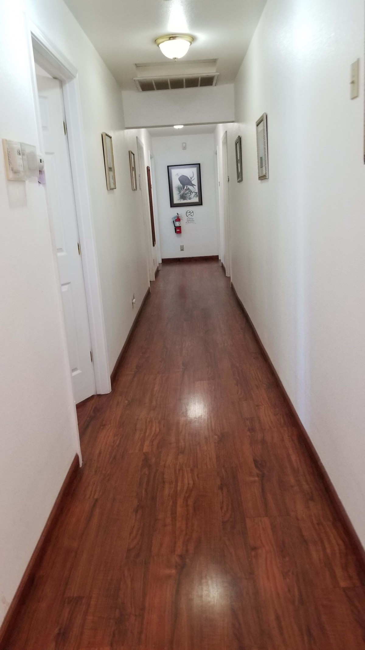 Horizon Home