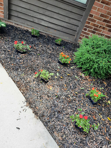 A freshly planted flower bed with a variety of colorful flowers in a landscaped garden.