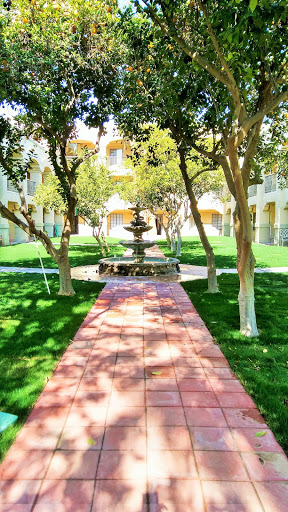 A serene courtyard featuring a fountain surrounded by lush greenery and a paved pathway.