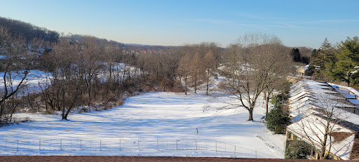 A serene winter landscape blanketed in snow under a clear blue sky.