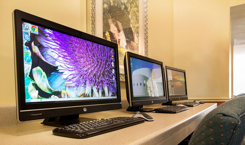 A row of desktop computers set up in an office environment.