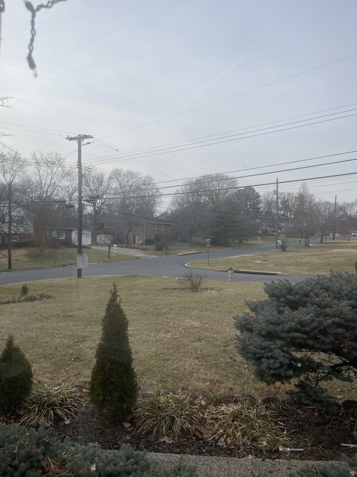 A suburban neighborhood on an overcast day with power lines and trees lining the street.