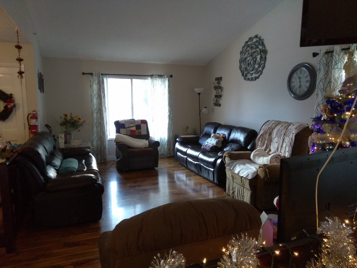 A cozy living room with sofas, decor, and a window allowing natural light in.