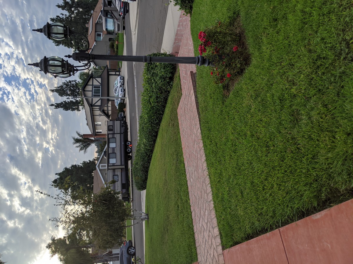 A peaceful residential neighborhood with well-maintained lawns and a lamp post lining the street.