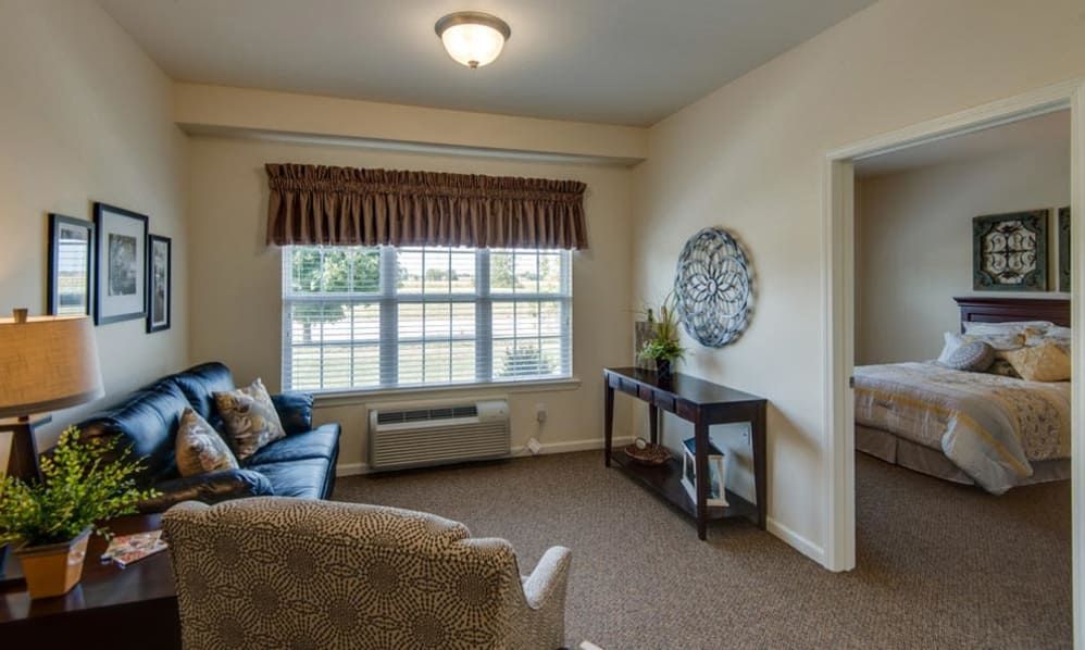 A cozy living room with a sofa, window, and decorative elements.
