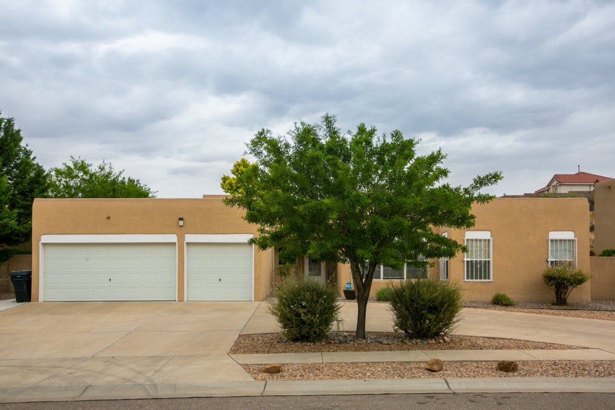 A suburban house with a two-car garage and a tree in the front yard under a cloudy sky.
