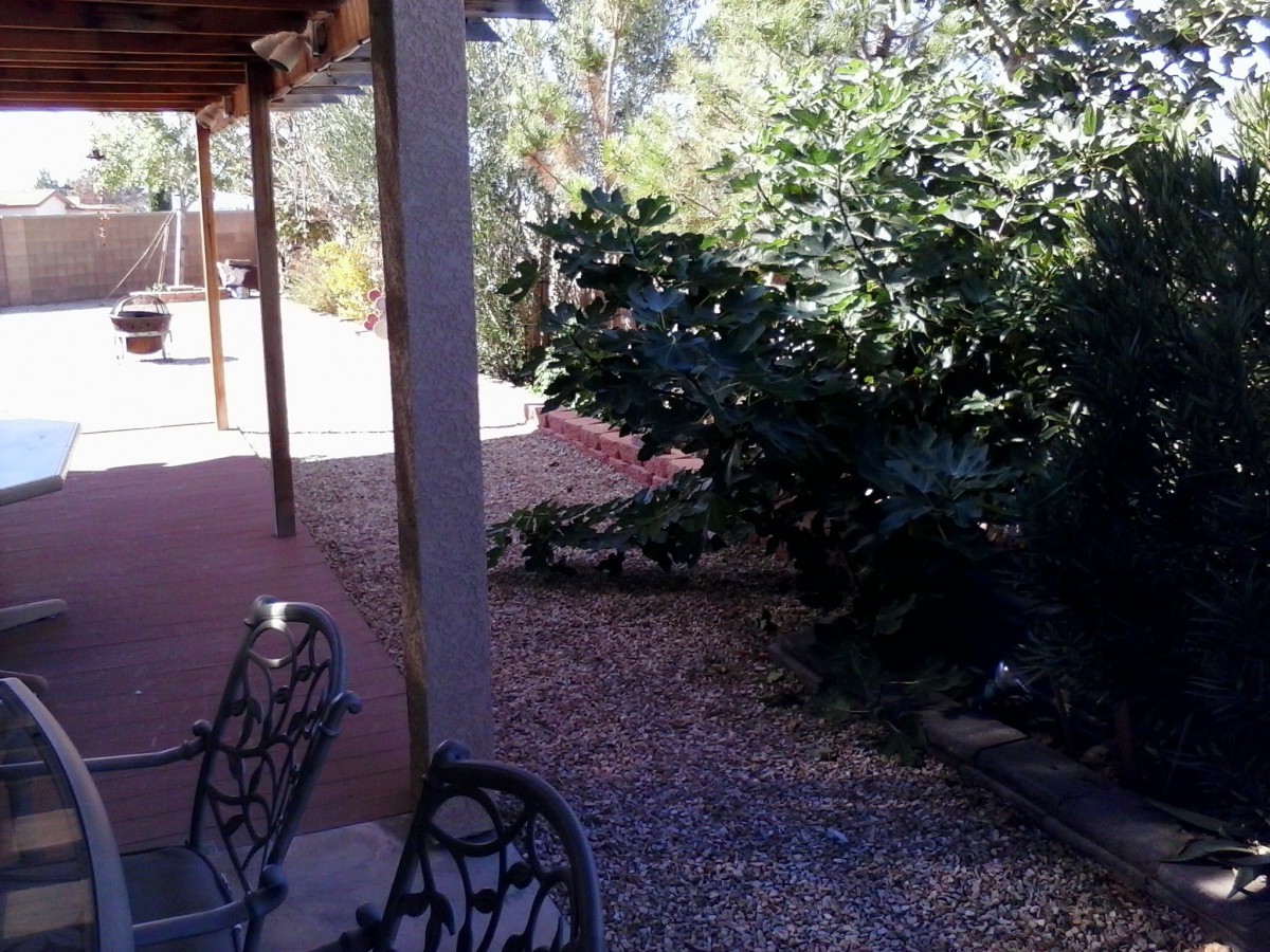 A sunny patio with chairs and a garden view.
