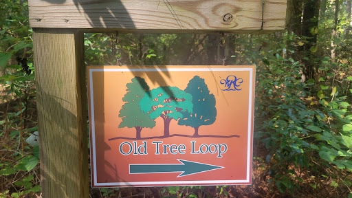Signpost indicating the Old Tree Loop trail.
