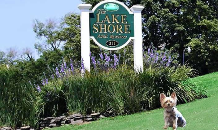 A dog stands near a sign for 'The Lake Shore' with greenery and flowers around.
