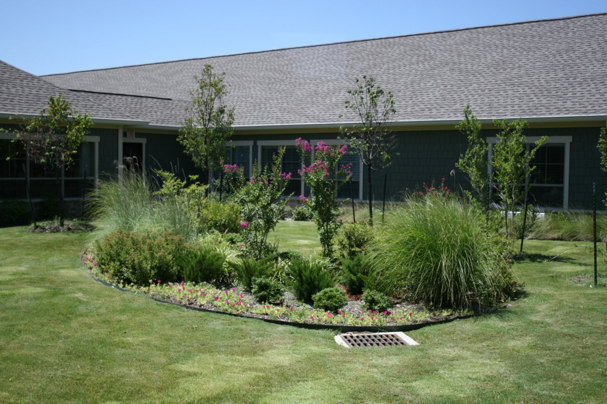 A vibrant garden with various plants and shrubs in front of a residential house.