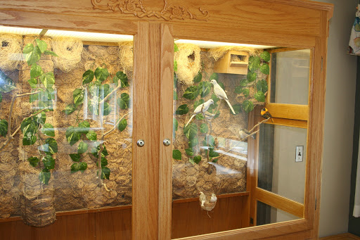 A well-designed enclosure for reptiles featuring natural elements and a wooden frame.
