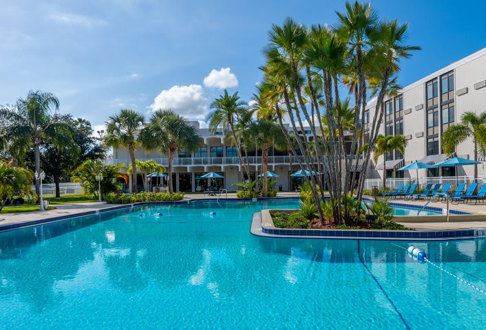 A luxurious resort pool surrounded by palm trees on a sunny day.