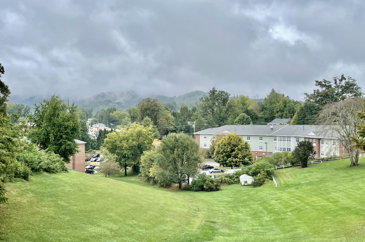 A scenic view of suburban houses surrounded by lush greenery under a cloudy sky.
